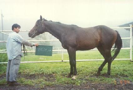 ������ ����