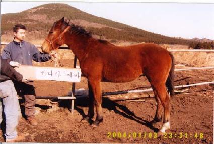 ��õ���� ����