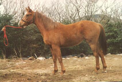 û���� ����