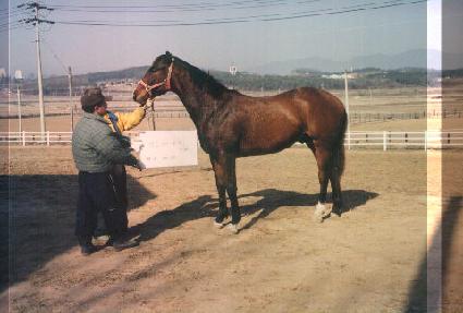 ��� ����