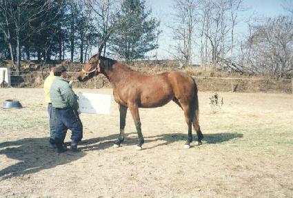 �콺Ƽ�� ����