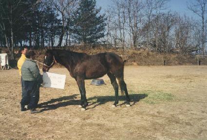 ���ųΰԽ�Ʈ ����