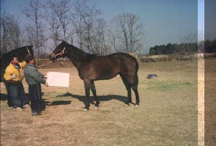 �絵�� ����