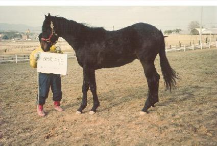 ����潺�丮 ����