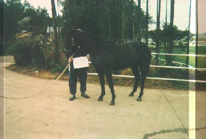 �������� ����