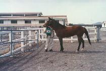 �̱����� (EAGLE JOY) ����