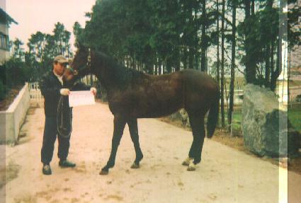 �̷�â�� ����