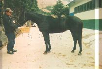 ��������ƾ (QUEEZER MOUNTAIN) ����