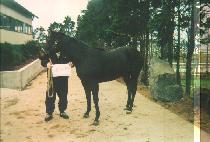 �ε�� (ROAD UP) ����