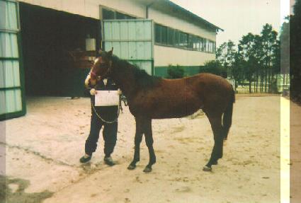 ������ ����