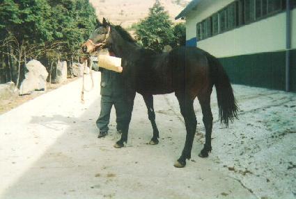 �۾��屺 ����