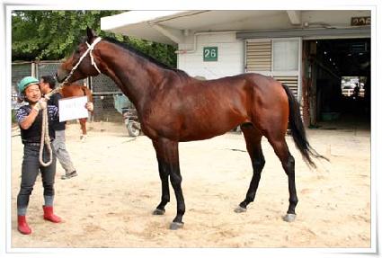 �ø��콺 ����