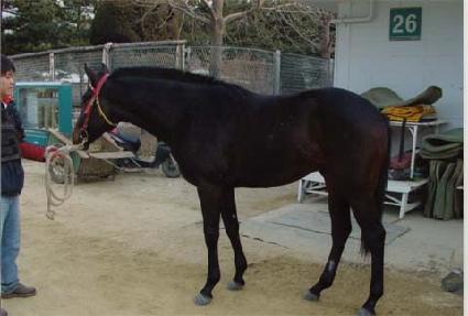 �ϼ� ����