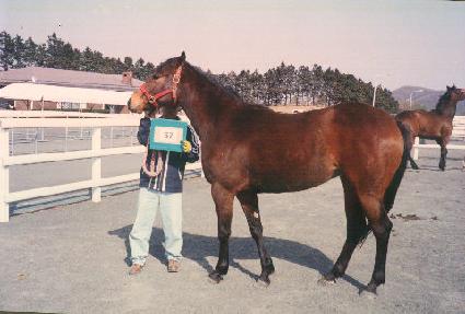 ȣũ���� ����