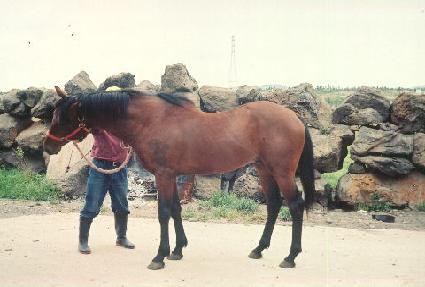 õ�⼱�� ����