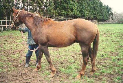 ū������ ����