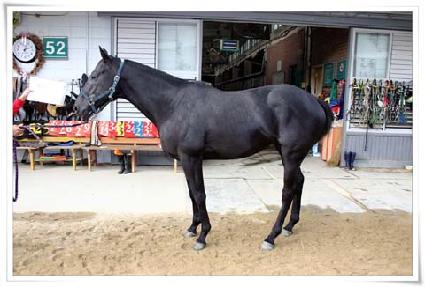 ����ȣũ ����