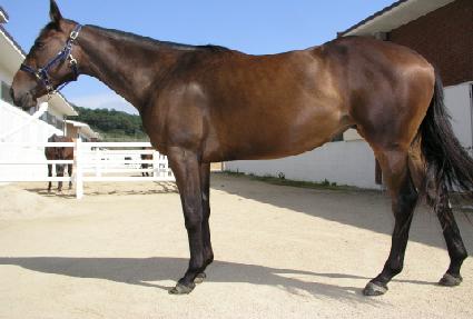 ���鰡�� ����