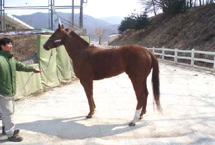 ��������� ����