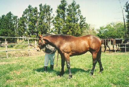 �����Դ� ����