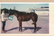 �ҽ��� (SOSINPA) ����