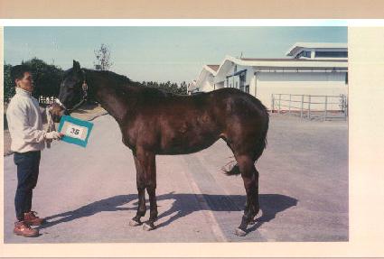 �ҽ��� ����