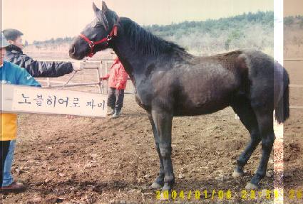 ���Ҿ� ����