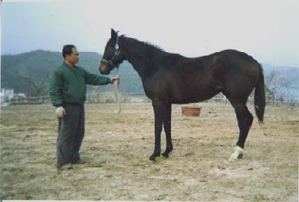 ��Ʈ���� ����