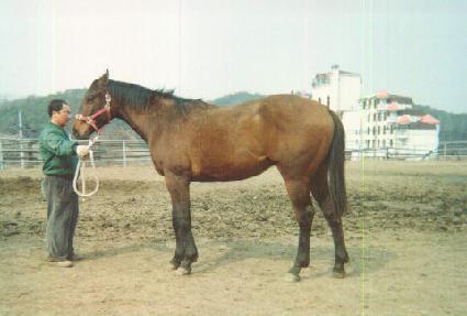 ������ ����