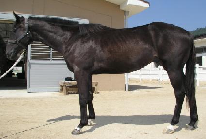 ��� ����