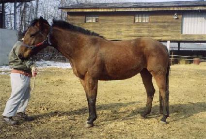 �Ƹ��ٿ�� ����