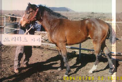 �߷� ����