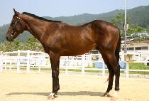 ������� (NOKSAN JINJU) ����