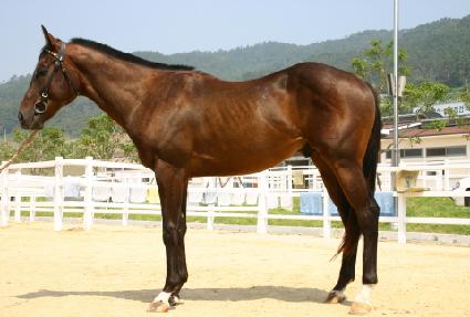 ������� ����