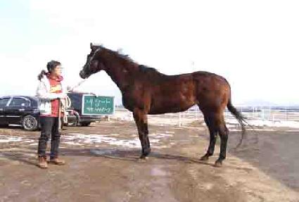 ����� ����