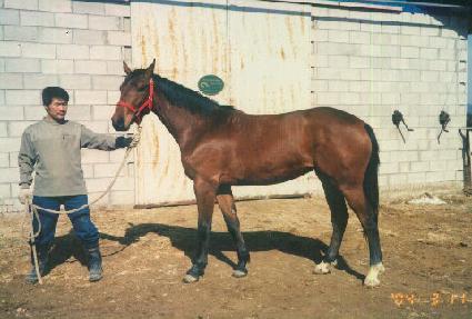 �ʽº��� ����