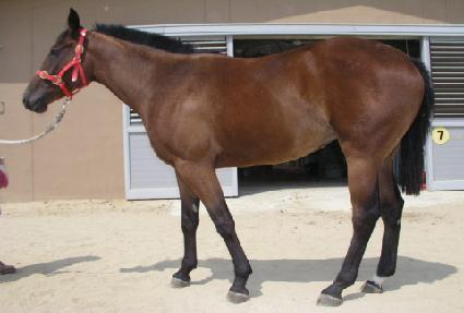 ������ ����