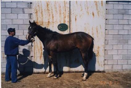 �ָ����� ����