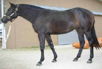 ����� ����