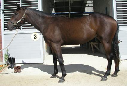 �ݻ��� ����