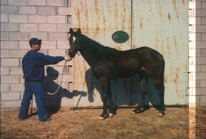 ����õ�� ����