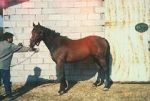 GWANAK DAESEUNG picture