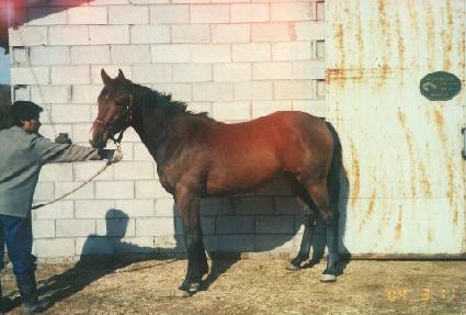 ���Ǵ�� ����