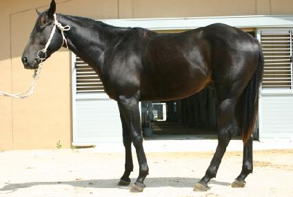 ��ȭ ����