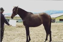 ��ȣ���� (GANGHO YEOKSA) ����