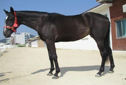 �������� ����