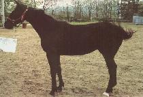 �������� (YEOLLIN MAEUM) ����