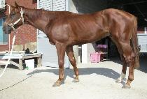 �����Ѻ��� (WIDAEHAN BONNEUNG) ����