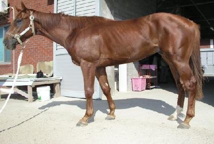 �����Ѻ��� ����