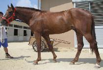 �λ꿵�� (BUSAN YEONGUNG) ����